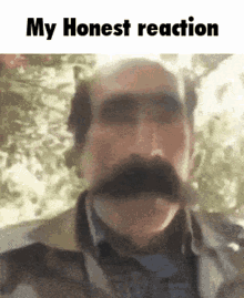 My honest reaction my honest reaction meme