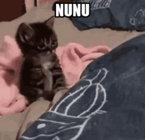 Nuray nunu