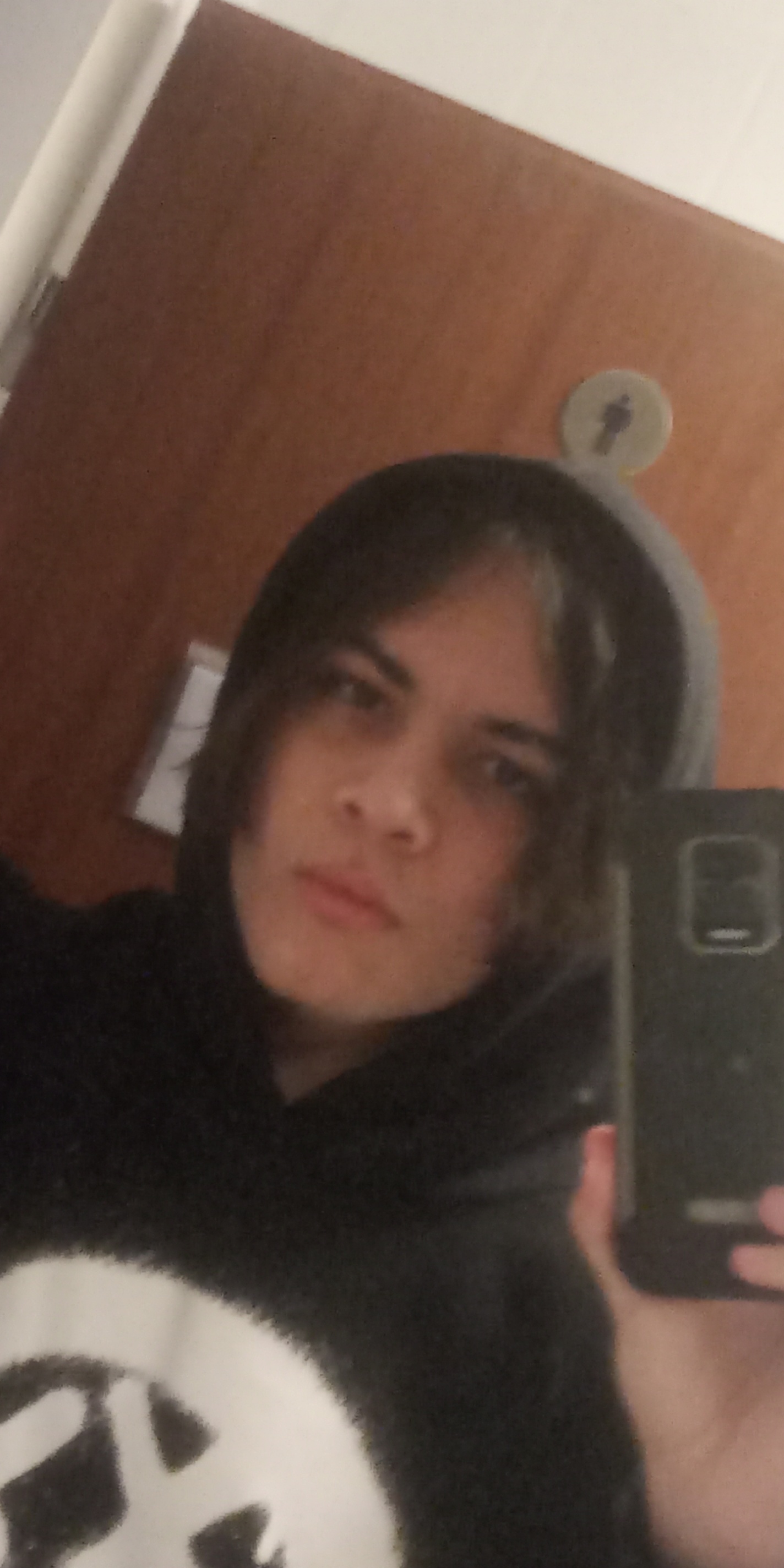 Snapchat 47133215