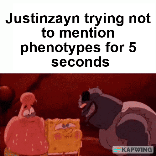 1668903070354