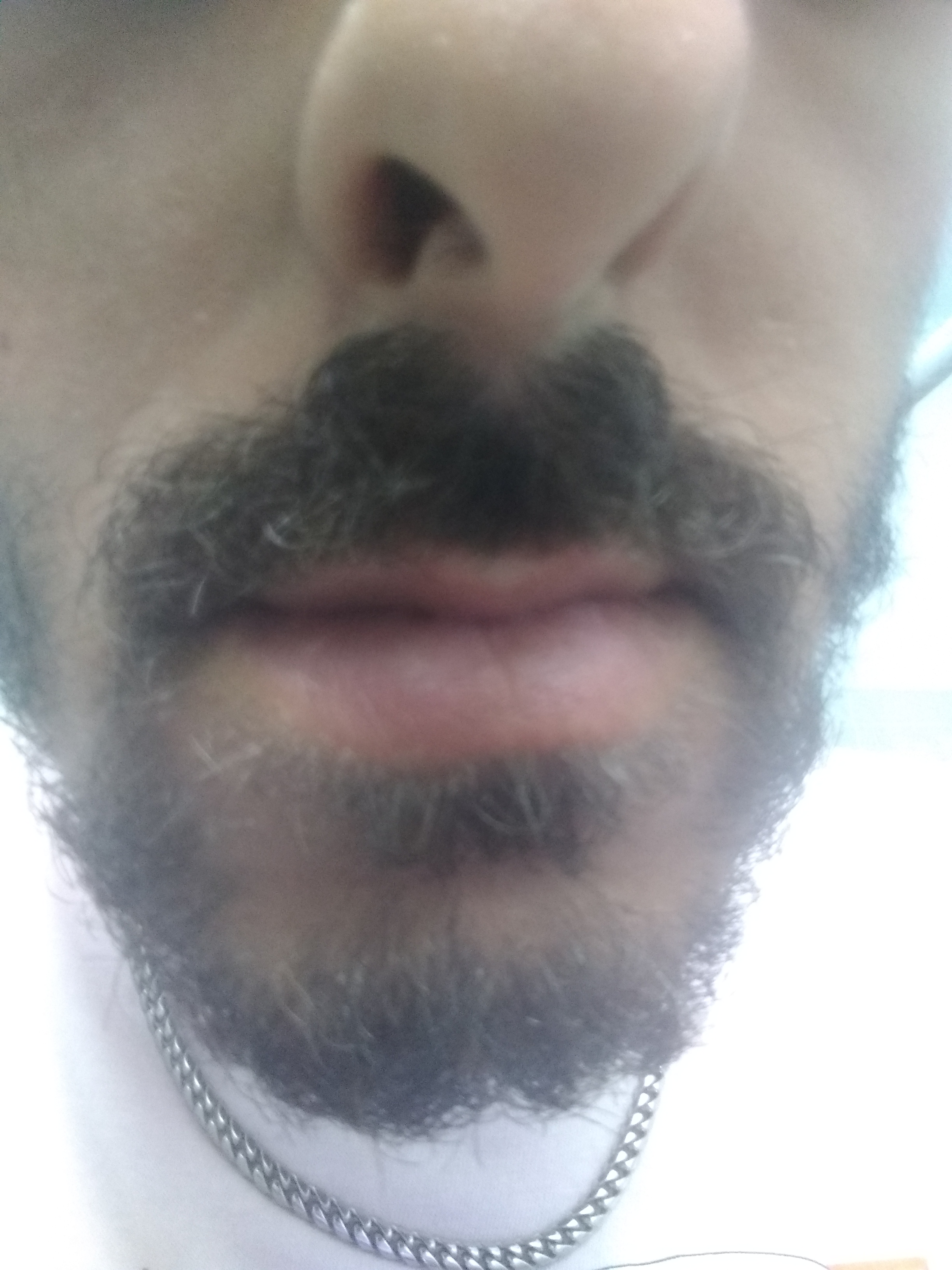 IMG 20221119 205617257