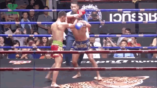 Muay thai elbow boxing