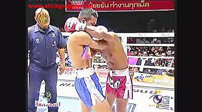 MuayThaiElbowKO 400 3 slomo1 sg
