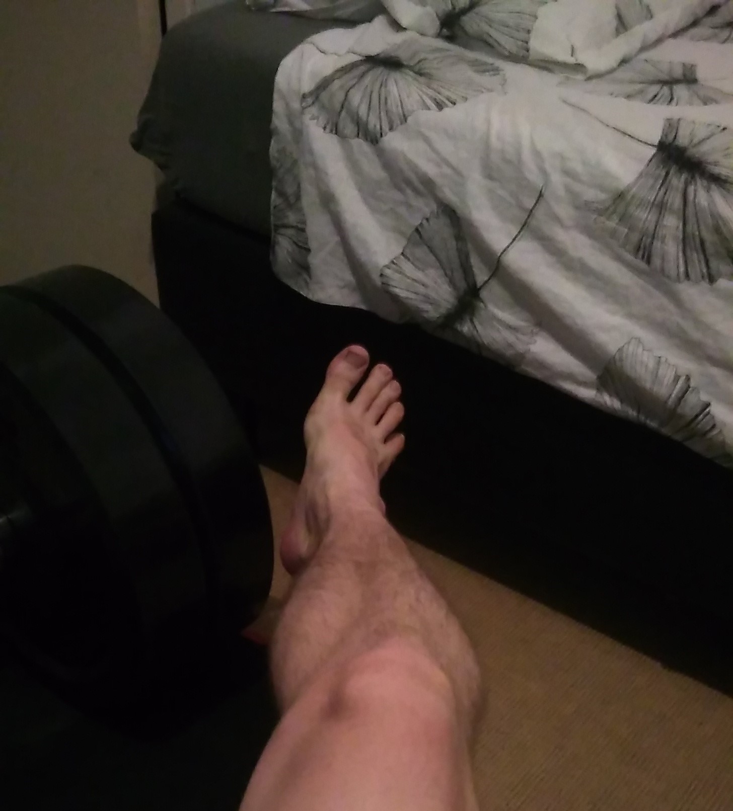 Calve2