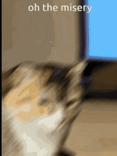 Oh the misery