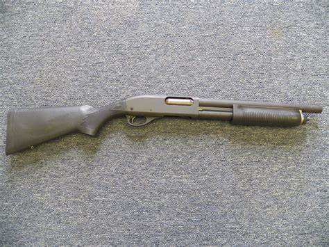 OIP 31