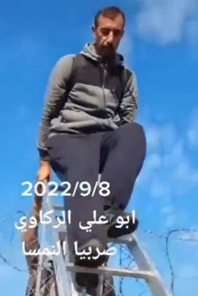 1669064826267