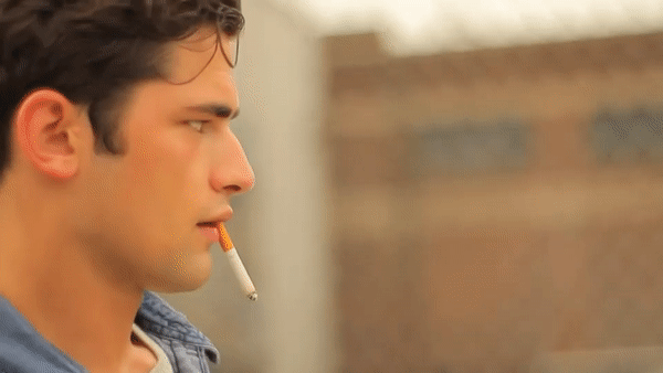 2739479 gif