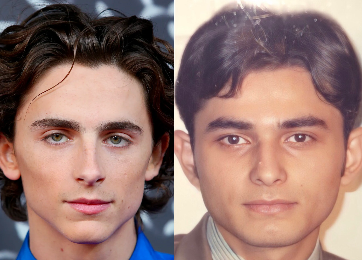 Chalamet 1