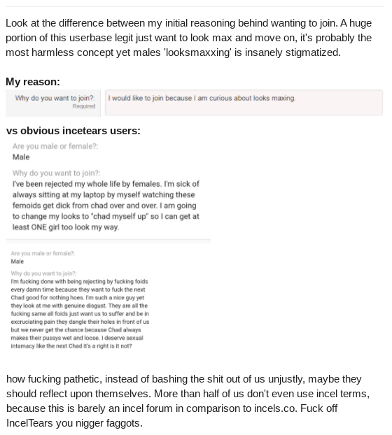 Screenshot 2022 11 23 at 00 55 05 ag2n80vbtq851 immagine JPEG 562  1292 pixel