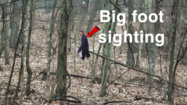 2691924 F39D3F76 0FBE 49CD 9CD4 D7668C439F7E