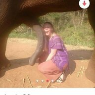 1669242415979