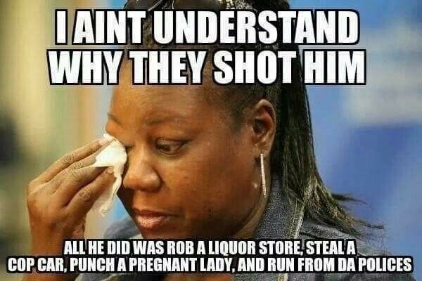 C3DAFAB2 C332 4B33 BD0A 9E9019A22EA6