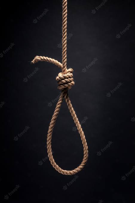 1D207461 6C77 46DE 913C 9E7B2F0C8401