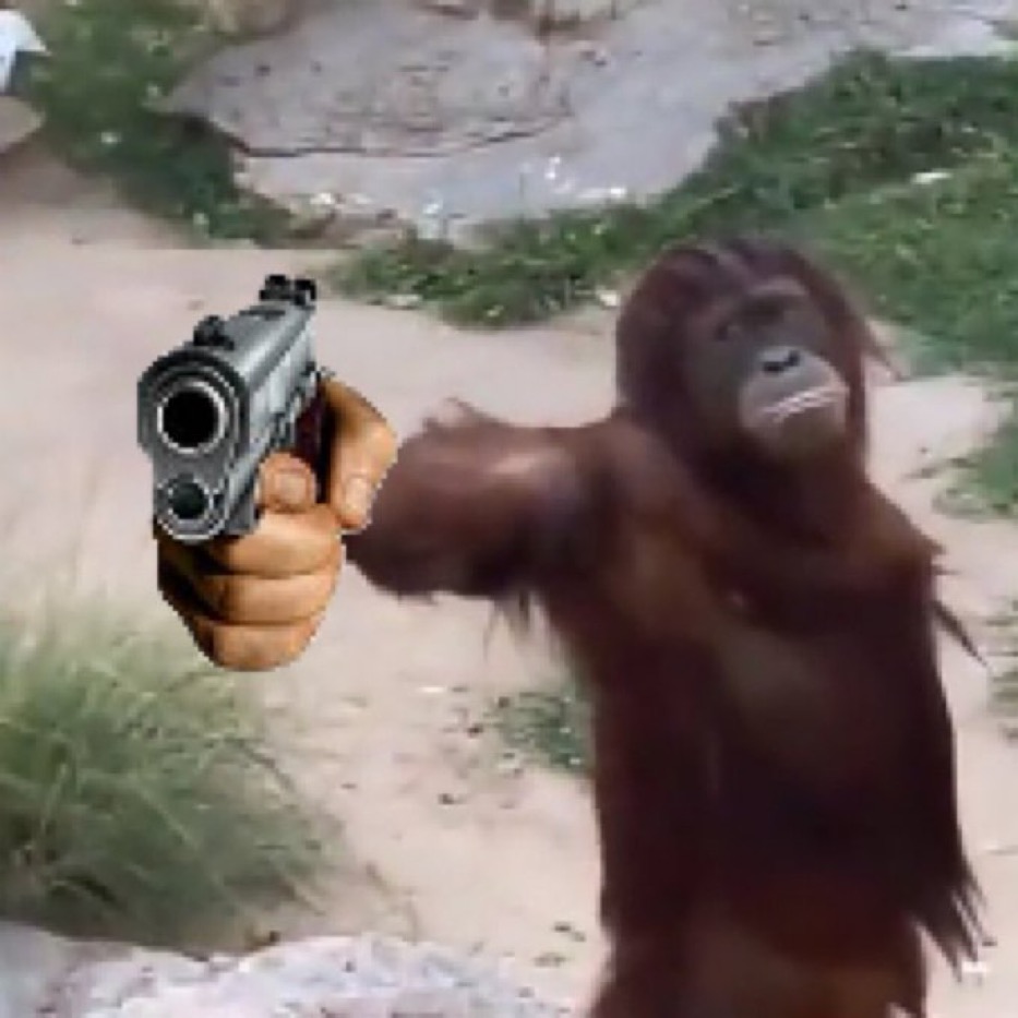 2638E6DD FE90 4F9C B23E C004E88B6A08