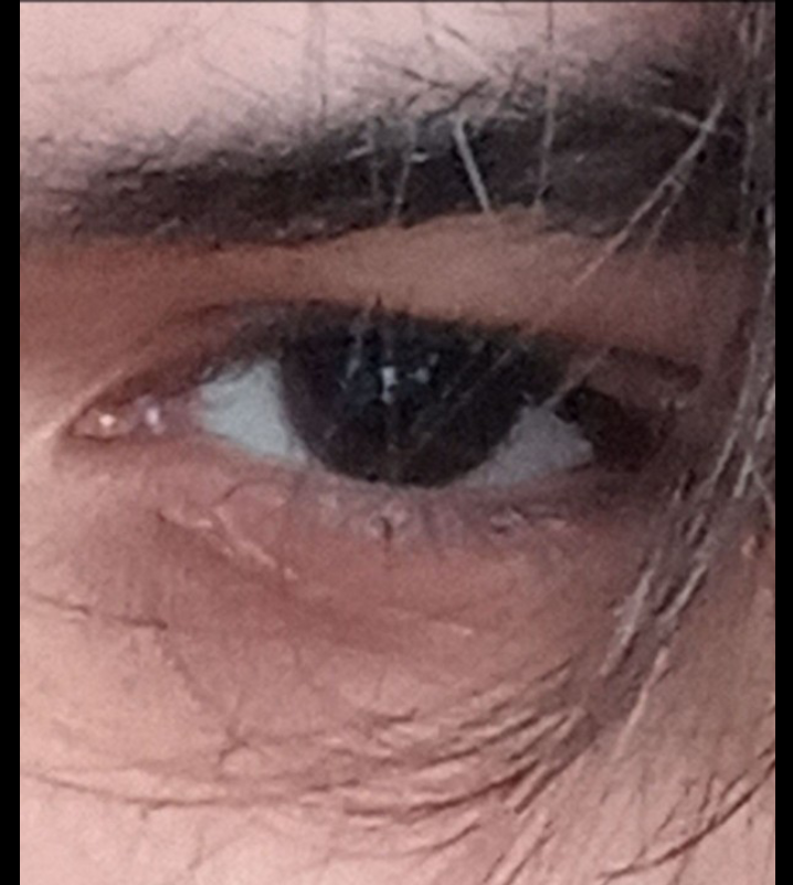 Screenshot 20221127 141940