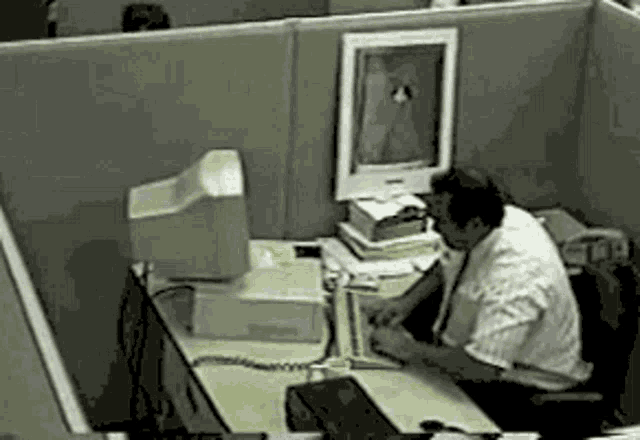 Guaton computadora