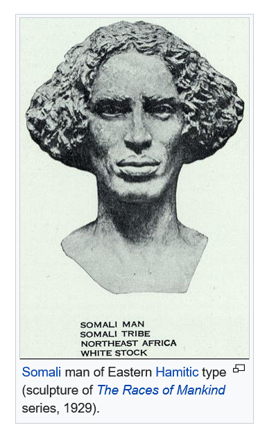 Screenshot 2022 11 27 at 20 50 53 Ethiopid race   Wikipedia