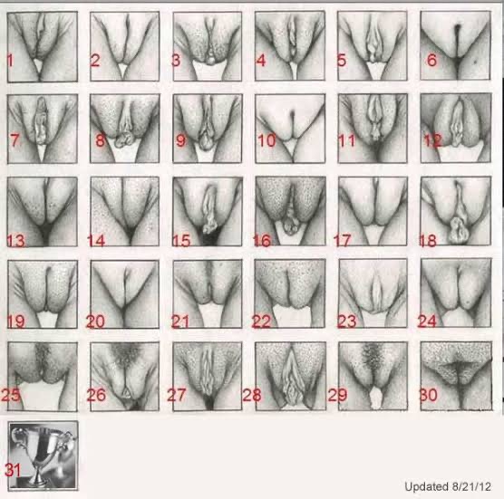 1669655868381