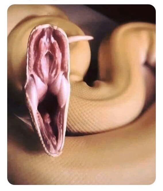 ES2rgXyX0AAlOkX
