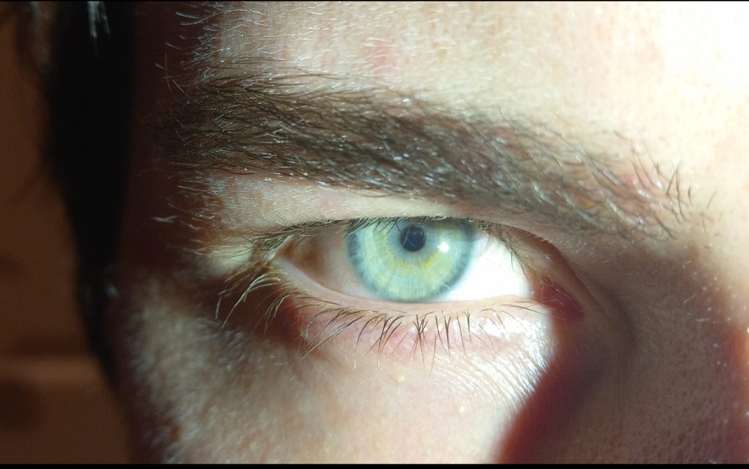 Screenshot 20221129 053047 Gallery