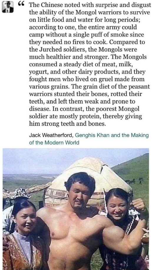 Mongol BVLL