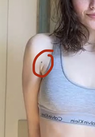 EC3B155E E55A 43FB 98ED 5C92D9A508A3