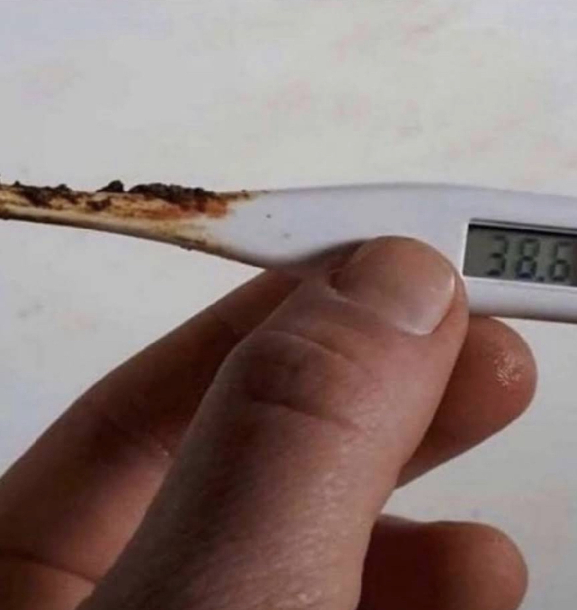 A7600FA8 6DE4 47D2 9B6D 4D64FAA71944