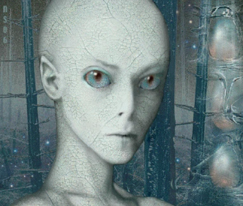 Screenshot 2022 08 19 233909