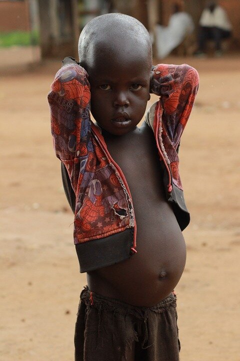 uganda-4288792_960_720.jpg