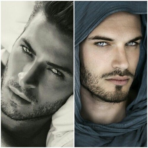 02cdf2b8c74dafb42778eb17b8b25783