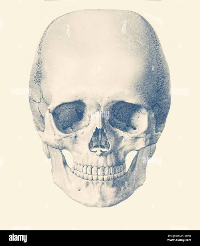 428309D9 4BF8 469B 917B 2D3BC9CB5B26