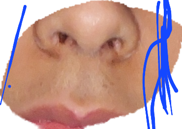 20221126_160653.png