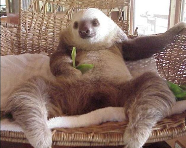 Screenshot 20221126 195131