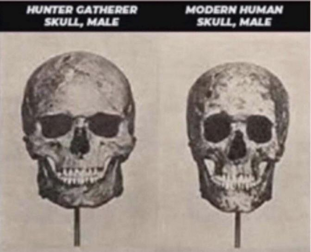 1669603866284.png