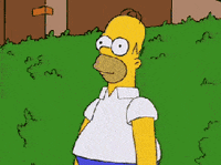 200w.gif
