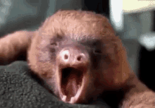 Sleepy yawn