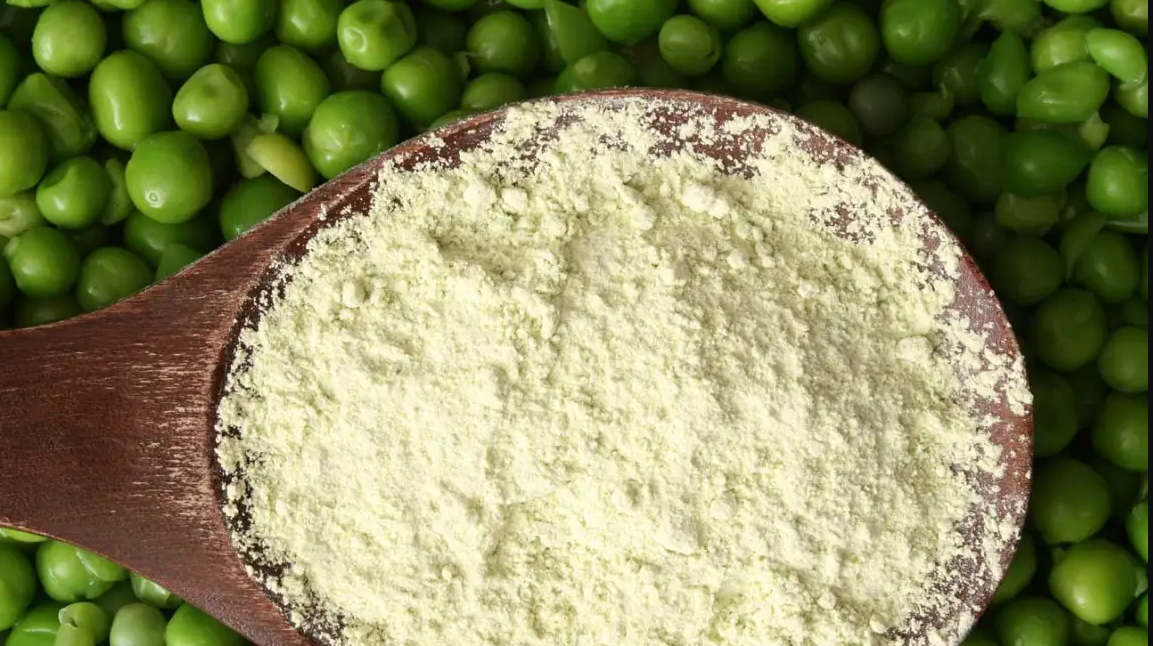 Pea protien