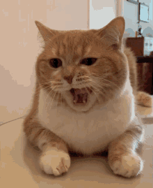 Yawn yawning