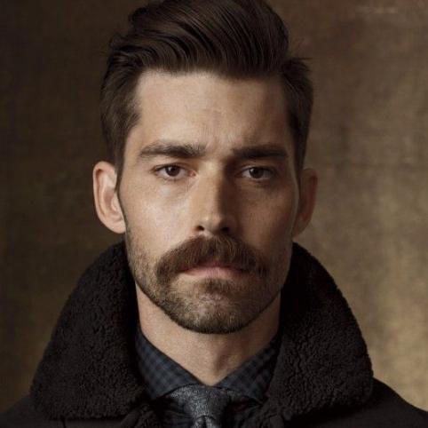 Walrusmustache 1