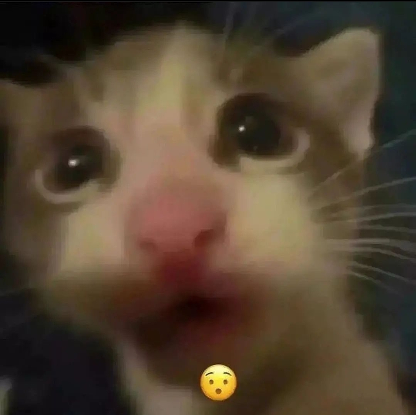 Screenshot 20220911 181559