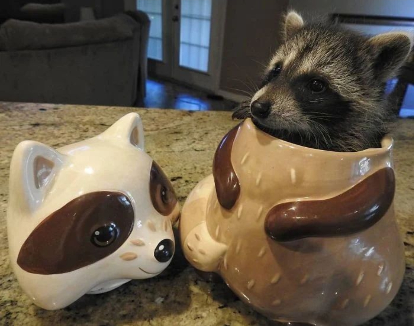 Screenshot 20220901 213746