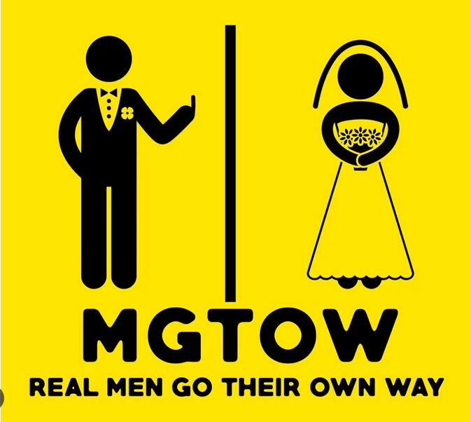 Screenshot 2022 12 10 at 14 08 37 MGTOW   Ricerca Google