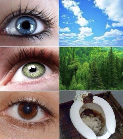 E9C1373C ABCE 4699 B841 77BA5386AFFE