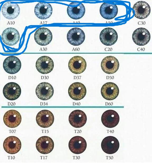 3197832 1670697164219