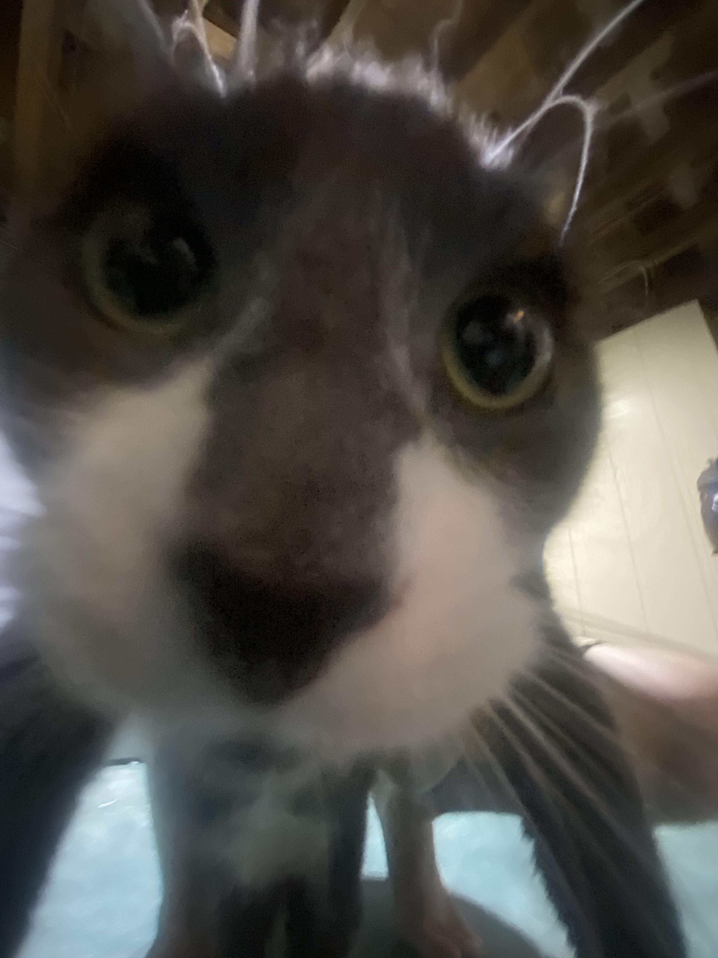 97A8A3CE BCBC 4CEA B60B B82740B79A1C