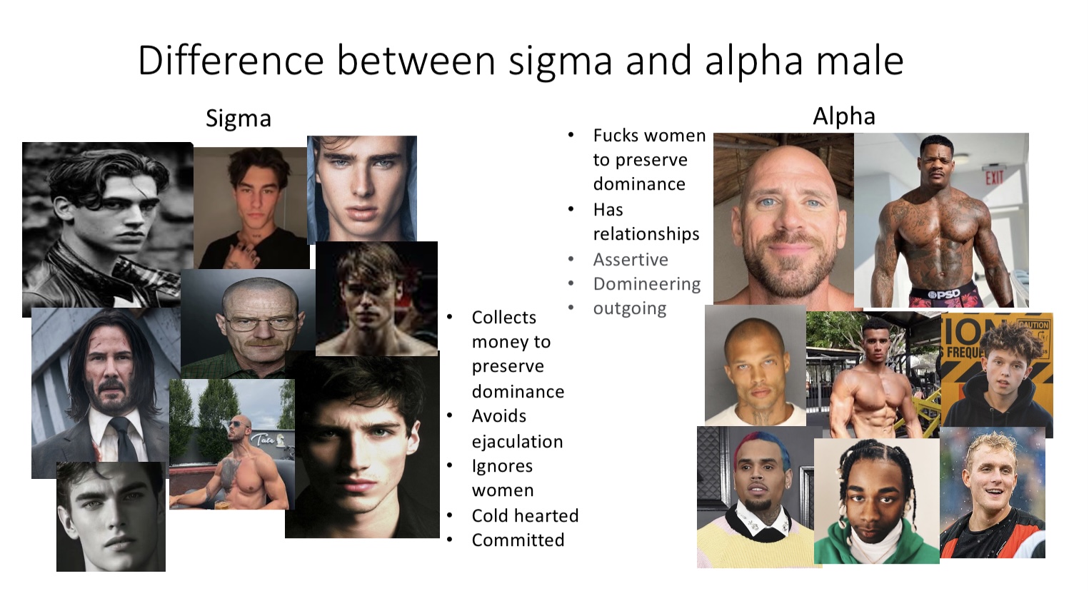 C0AE84A8 D994 48BE 9F7A 34C9FE4FD68A