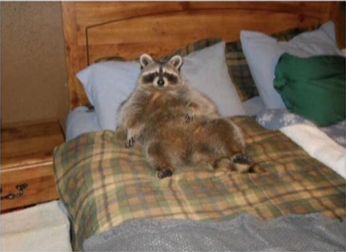 Screenshot 20200122 141815 rif is fun