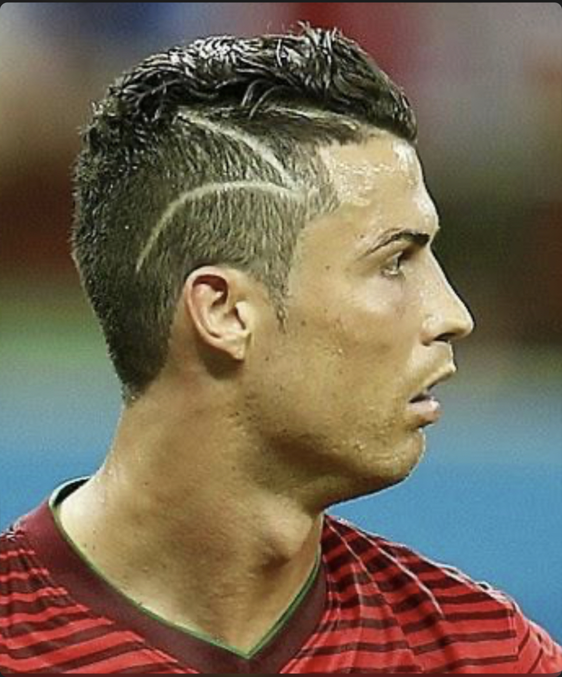 DD8EB6C1 0259 4D88 821C 873F251CF16C