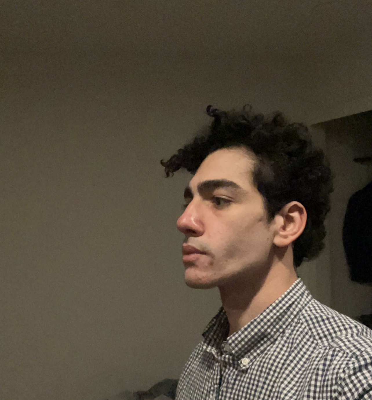 IMG 4751